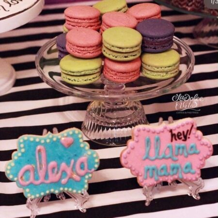 llama french macarons