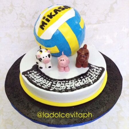 volleyball cake